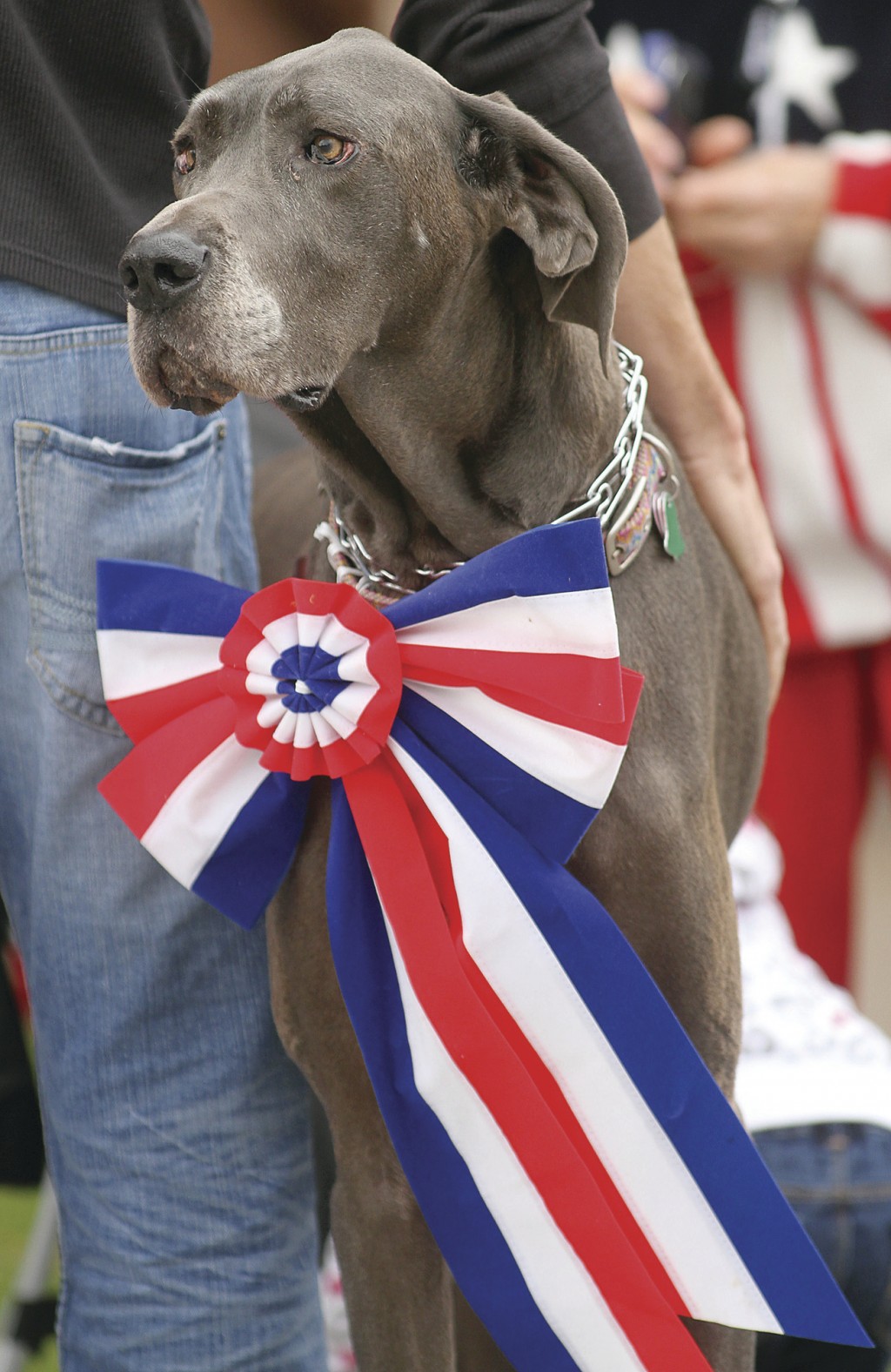 Vets Parade
